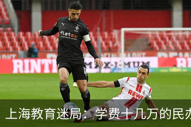 上海教育迷局：学费十几万的民办幼、小、初，凭什么力压公办？