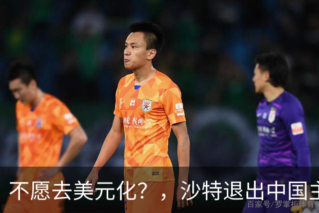 不愿去美元化？，沙特退出中国主导支付系统，其实对人民币是件好事？