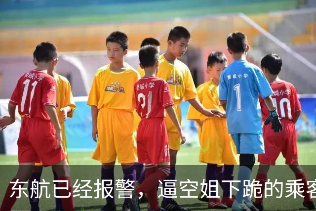 东航已经报警，逼空姐下跪的乘客，接下来会面对什么