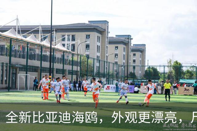 全新比亚迪海鸥，外观更漂亮，尺寸更大，二代刀片电池+闪充技术