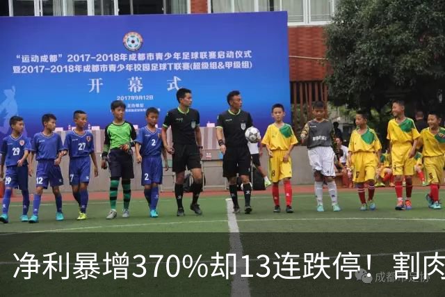 净利暴增370%却13连跌停！割肉就反弹25%，A股扎心一幕
