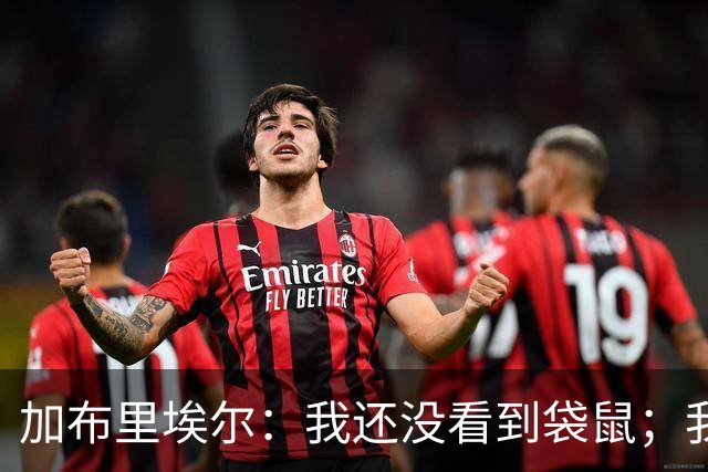 加布里埃尔：我还没看到袋鼠；我和拉菲尼亚聊过了他没事