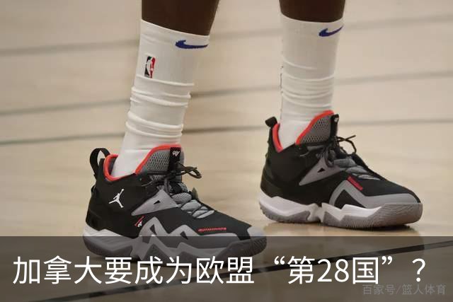 加拿大要成为欧盟“第28国”？
