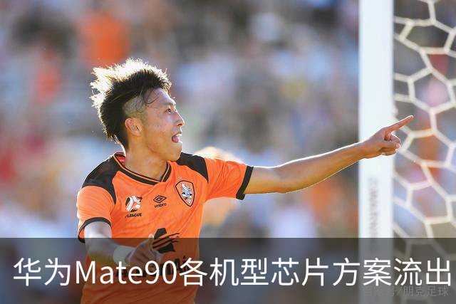 华为Mate90各机型芯片方案流出，或新增9035,高端版本独享9050Pro