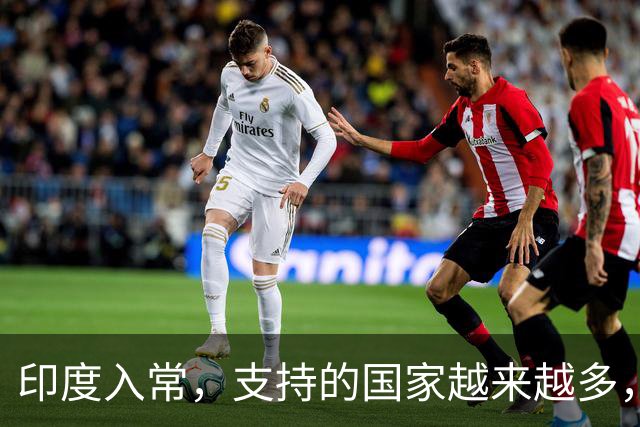 印度入常，支持的国家越来越多，可谁都不想让它进，五常各有算盘