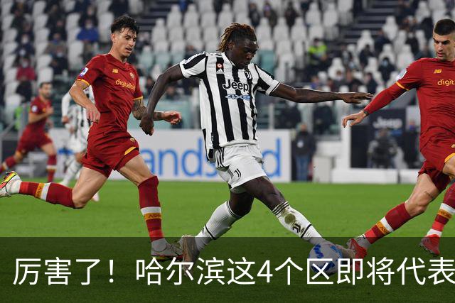 厉害了！哈尔滨这4个区即将代表中国走向世界！快看有没有你老家