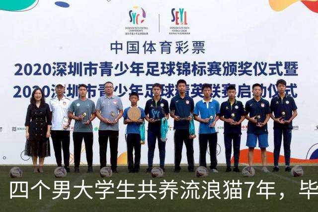 四个男大学生共养流浪猫7年，毕业后猫咪跨城轮流住