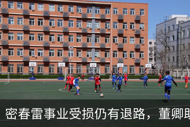密春雷事业受损仍有退路，董卿助力不小