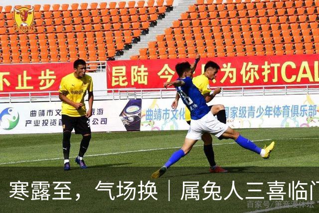 寒露至，气场换｜属兔人三喜临门，苦尽甘来