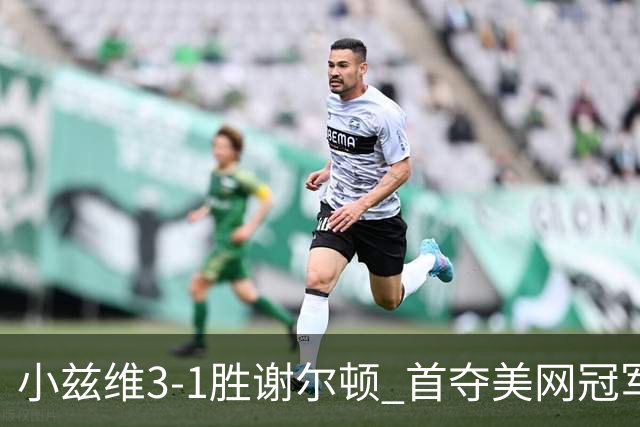 小兹维3-1胜谢尔顿 首夺美网冠军生涯大满贯第二冠