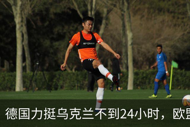德国力挺乌克兰不到24小时，欧盟紧急制定预案，应对默茨出局变局