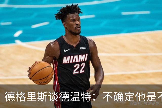 德格里斯谈德温特：不确定他是不是新的巴雷西，我不这么认为