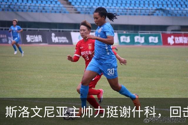 斯洛文尼亚主帅力挺谢什科，回击鲁尼嘲讽