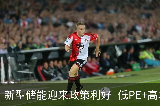 新型储能迎来政策利好 低PE+高增长潜力股出炉