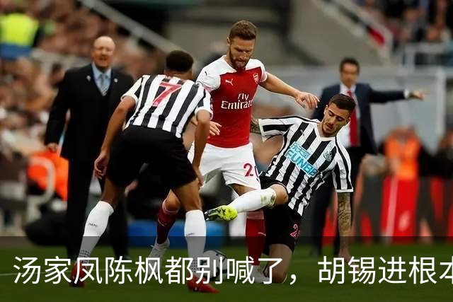 汤家凤陈枫都别喊了，胡锡进根本没拿正眼看你们，何苦自找难看