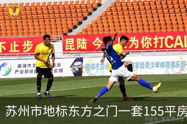 苏州市地标东方之门一套155平房子降价拍卖，被人底价266万竞得