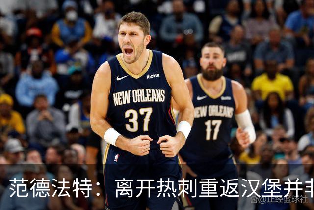 范德法特：离开热刺重返汉堡并非明智之举，最后1年半很艰难
