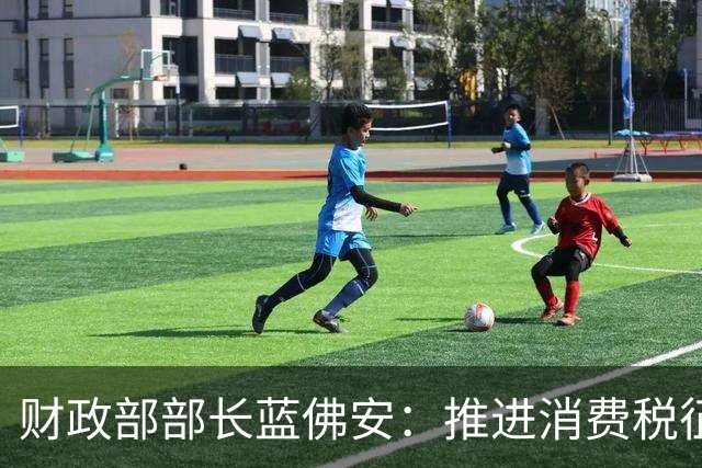 财政部部长蓝佛安：推进消费税征收环节后移并稳步下划地方、地方附加税改革等，支持地方拓展税源