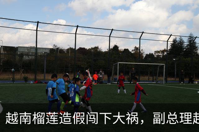 越南榴莲造假闯下大祸，副总理赶到南宁，请中国再给他们一次机会