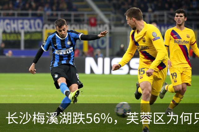 长沙梅溪湖跌56%，芙蓉区为何只跌不到一成？