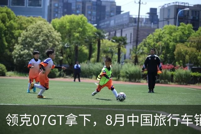 领克07GT拿下，8月中国旅行车销量第一