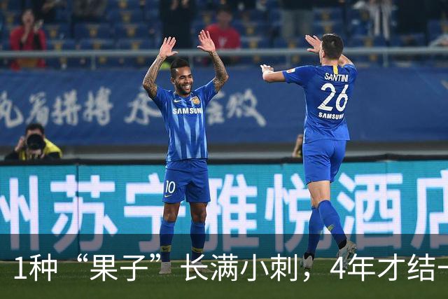 1种“果子”长满小刺，4年才结一次果，营养丰富，30元一斤