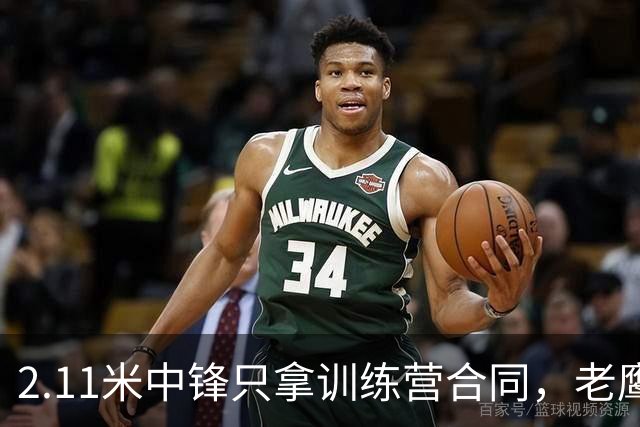 2.11米中锋只拿训练营合同，老鹰这笔签约藏着什么算盘