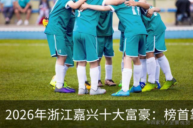 2026年浙江嘉兴十大富豪：榜首靠投资赚400亿，看看你认识几位？