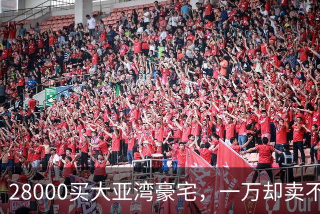28000买大亚湾豪宅，一万却卖不掉。验资才能看的“惠州版深圳湾”，曾经单价2万8，如今一栋楼仅亮几盏灯，单价不到一万都没人接