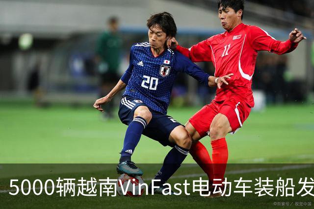 5000辆越南VinFast电动车装船发欧洲与东南亚：中国车企不该轻视这个对手了